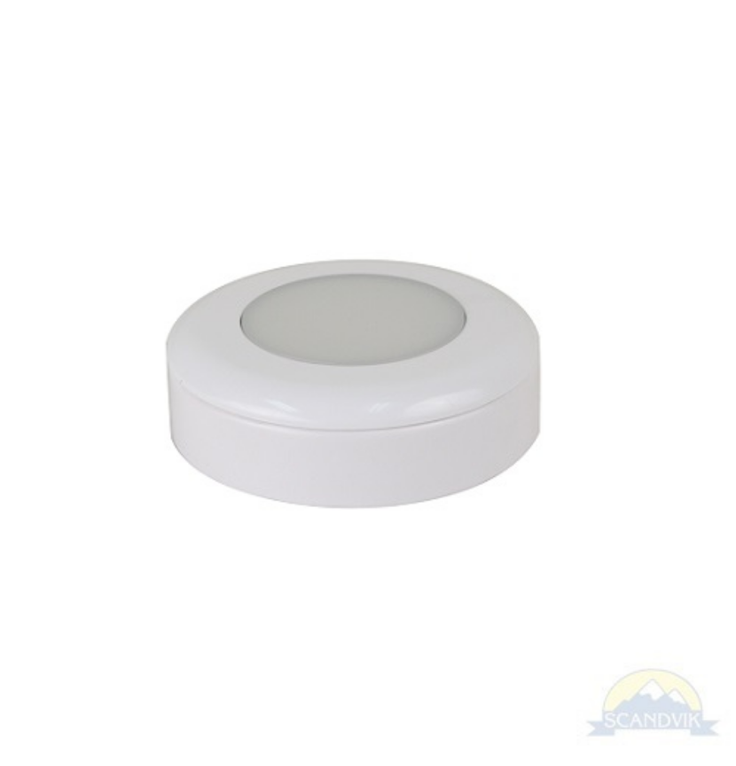 Scandvik LED A3 Surface Mount Dual Color Blue/Warm White, S/S Bezel, 41376P