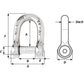 Wichard Self-Locking Allen Head Pin D Shackle - 6mm Diameter - 1/4" [1303W]
