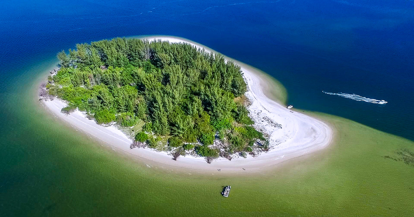 Power-Pole Blade Black 8ft w/ CM2, PP-BLS-8-BK