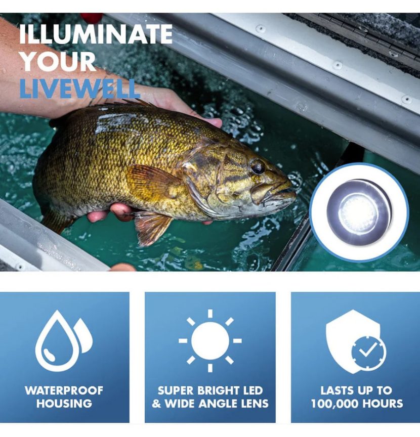 TH Marine Flush Head LED Livewell Light White, LED-51874-DP